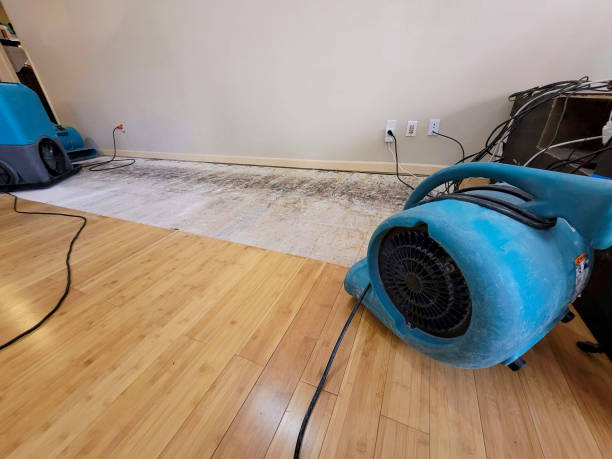 Professional Burst Pipe Water Damage technician working in Eldorado, TX